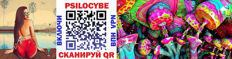 Купить закладки  Шатура  Галлюциногенные грибы Magic Shrooms 